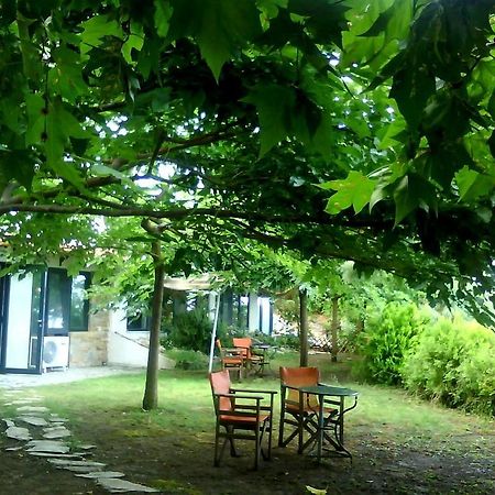 Country Art Studio Alkyoni Apartment Kokkino Nero Exterior photo